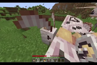 create custom minecraft mod forge or fabric plugin and bedrock server