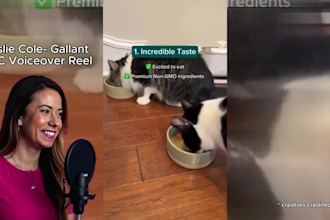 deliver an engaging, relatable voiceover for your ugc ad