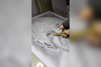 draw a realistic pencil and charcoal portrait