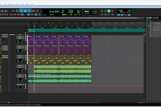 do professional audio recording and precise sound editing