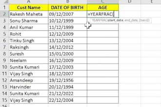 do professional tally prime data entry, PDF to excel and