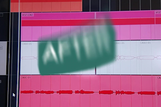 edit, clean and tune your vocals professionally