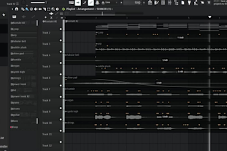 professionally produce your song or instrumental