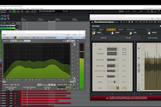 deliver a clean, professional mix and master for your song