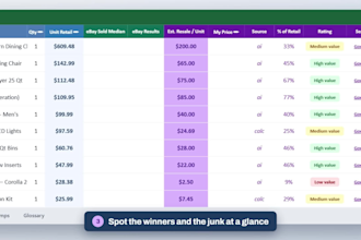 analyze your liquidation manifest and deliver a ceiling bid report