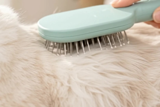 create engaging pet product ugc videos for your store