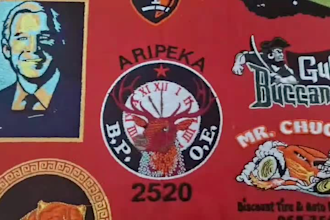 do unique dst and pxf format all type of embroidery