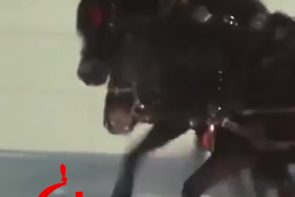 rotate an image in front of a tiktok style edit
