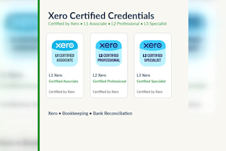 enter and organize your xero financial data