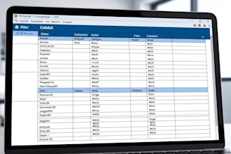 deliver a clean, structured, and ready to use excel dataset