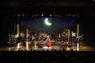 be an arabic singer songwriter for custom songs, weddings and special occasions