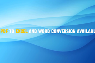 convert scanned PDF to excel within 10 hours