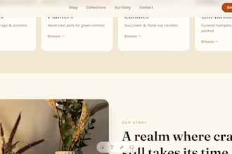 create a shopify website for you