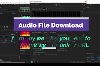 do audio edit, cleanup and fix sound in audio or video