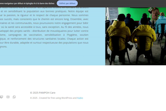 create a professional bilingual wordpress website
