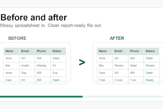 clean, organize, and format your excel CSV data