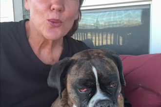 create high converting dog ugc videos for pet brands