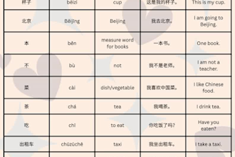 translate english to chinese hsk 1 and chinese hsk 1 to english