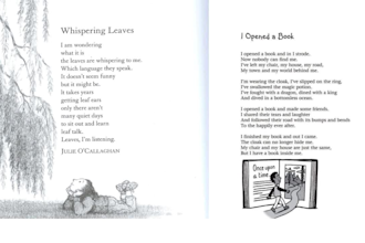 format poetry book, poetry book cover poem novel chapbook KDP poetry formatting
