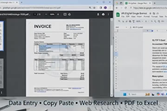 do accurate data entry,copypaste,web research,and excel data entry
