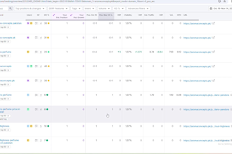 do content and image  SEO, and advanced keyword research for fast google ranking