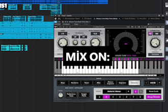 professionally mix and master