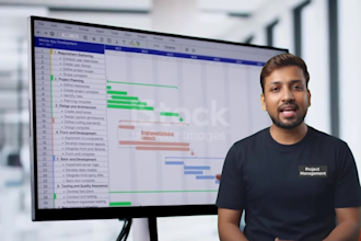 create professional gantt charts project plan and tracking in ms project