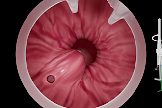 create scientific and cell biology animation