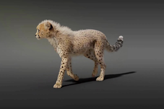 create realistic 3d animal animation, 3d creature and character design