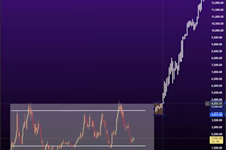 run your crypto x twitter with daily posts, charts and news