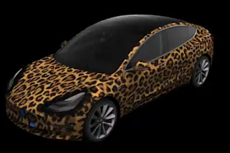 design custom premium vehicle wrap for a car, van wrap, truck wrap,livery design