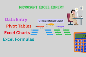 do accurate excel data entry, analysis, and reports