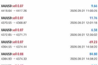 setup profitable forex ea bot, forex trading bot, gold ea