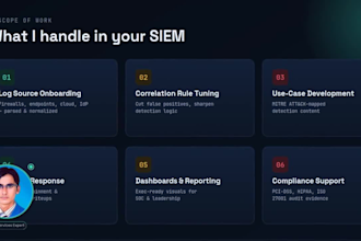 provide siem professional services