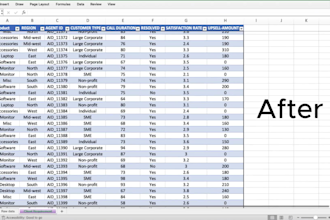 clean excel data,format and scrub your data using vba macros