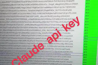 provide claude ai API integration support and consultation