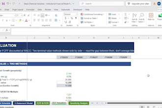 build investor ready financial models for funding, growth and strategic planning