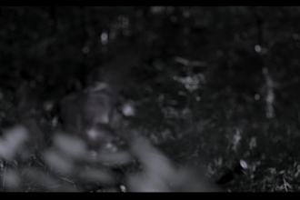 vfx cleanup, green screen, keying and tracking