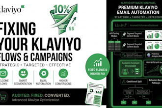 fix your klaviyo flows and campaigns with full email audit