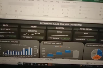 create professional data visualization dashboards