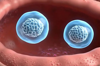 create 3d medical animation, anatomy animation, medical explainer video