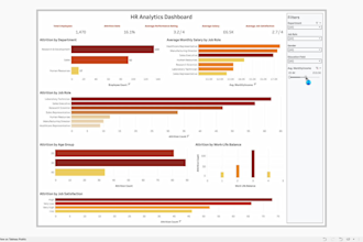 create professional tableau dashboards and reports