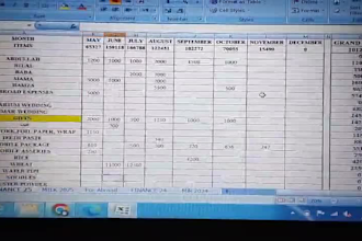 data master excel, data entry, data management  and reporting