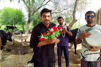 african happy birthday video african happy birthday video