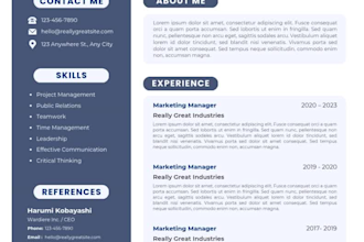 write, rewrite, and redesign a professional ats resume and CV
