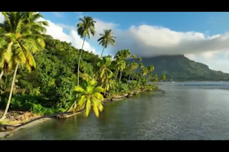 create professional video for website design