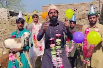 make a funny happy birthday video with crazy video dance
