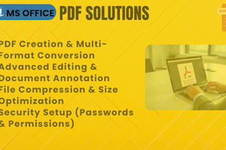provide professional ms excel word and PDF solutions
