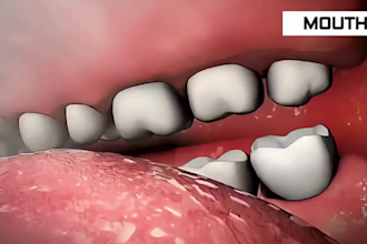 create realistic 3d medical, anatomy, surgical animation video