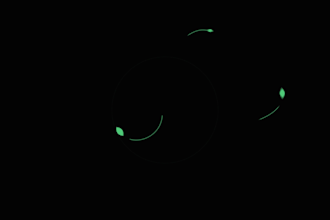 do 2d logo animation